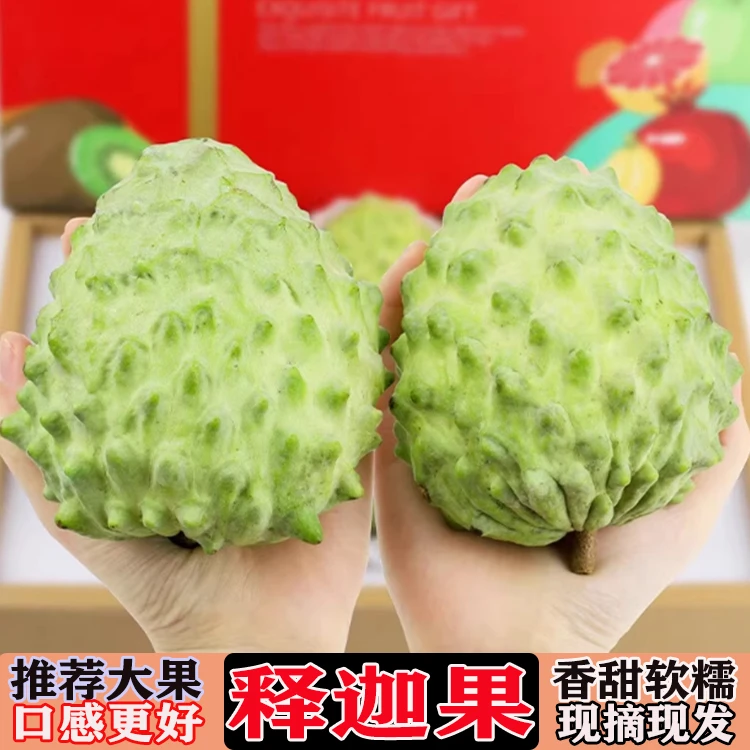 广西凤梨释迦果新鲜水果番荔枝释迦摩尼特果超甜罕见稀有水果