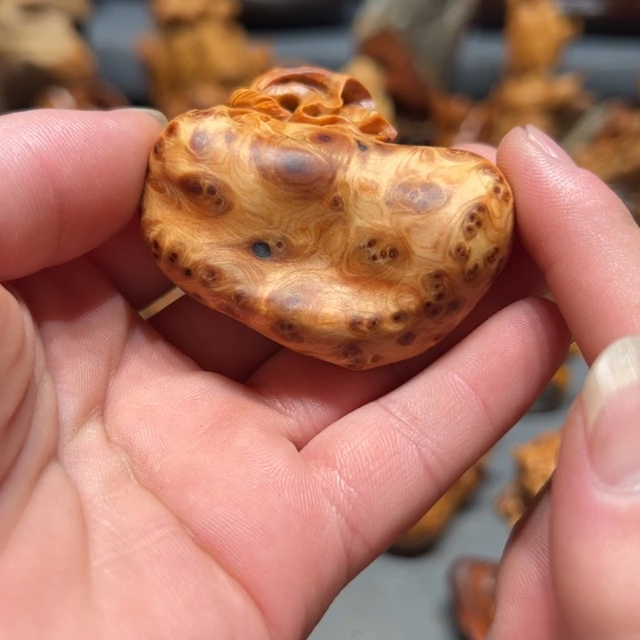 柏木（崖柏）点点关注