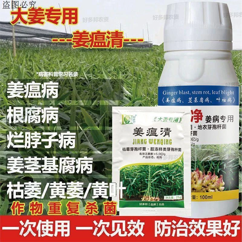 姜瘟净姜瘟姜瘟灵生姜剂大姜烂脖子病茎基腐病剂