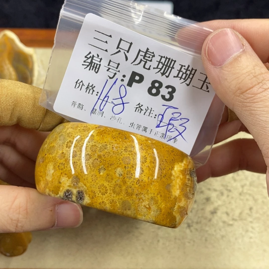 硅化珊瑚（珊瑚玉）1未镶嵌鱼