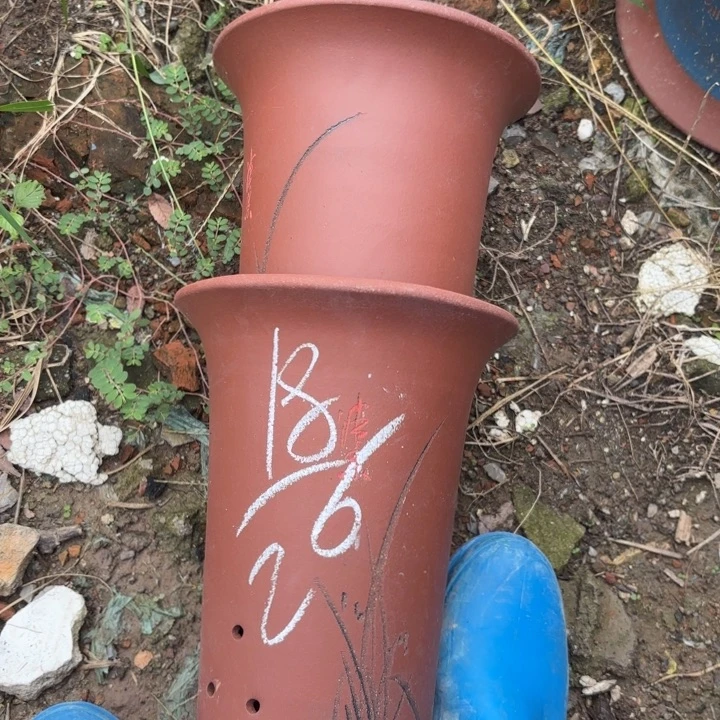 花盆紫砂紫砂的花