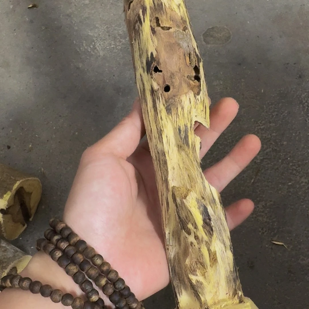 沉香碎屑沉香海***晏绿棋虫漏半成品