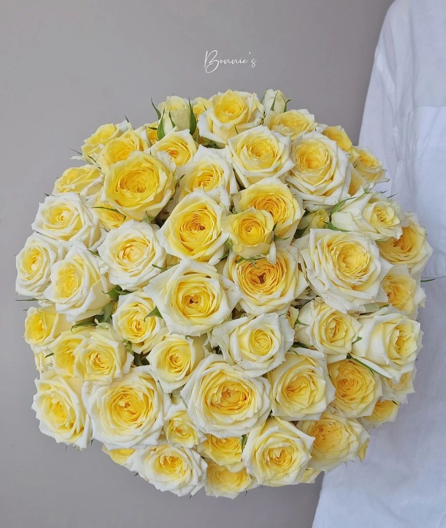 不可凑单丨加购【娃娃公主多头玫瑰10支】（不售后）