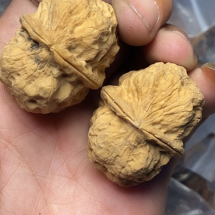 文玩核桃把件云南铁核桃70