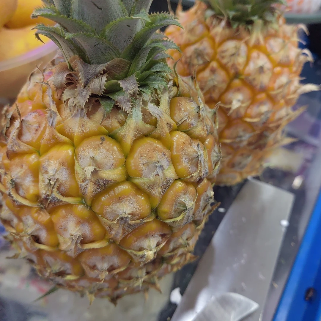 海南菠萝一个约2.5斤