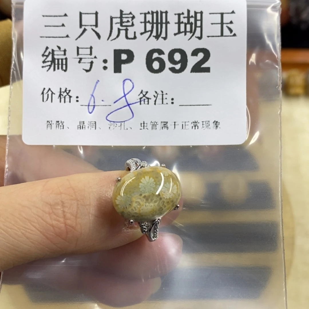 硅化珊瑚（珊瑚玉）1未镶嵌K****妖