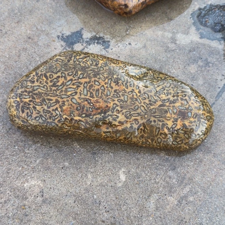 ****甜益茶堂祝您生活愉快