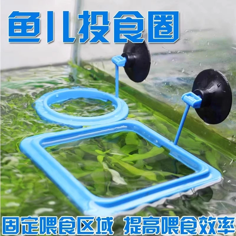 鱼缸喂食器喂鱼好物孔雀鱼漂浮喂食圈丰年虾投食器鱼食悬浮投喂器
