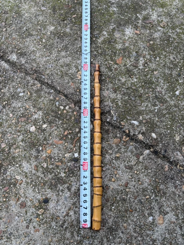 罗汉竹竹料烟杆毛笔杆料盘玩大小头直径1.5/0.8长度30厘米