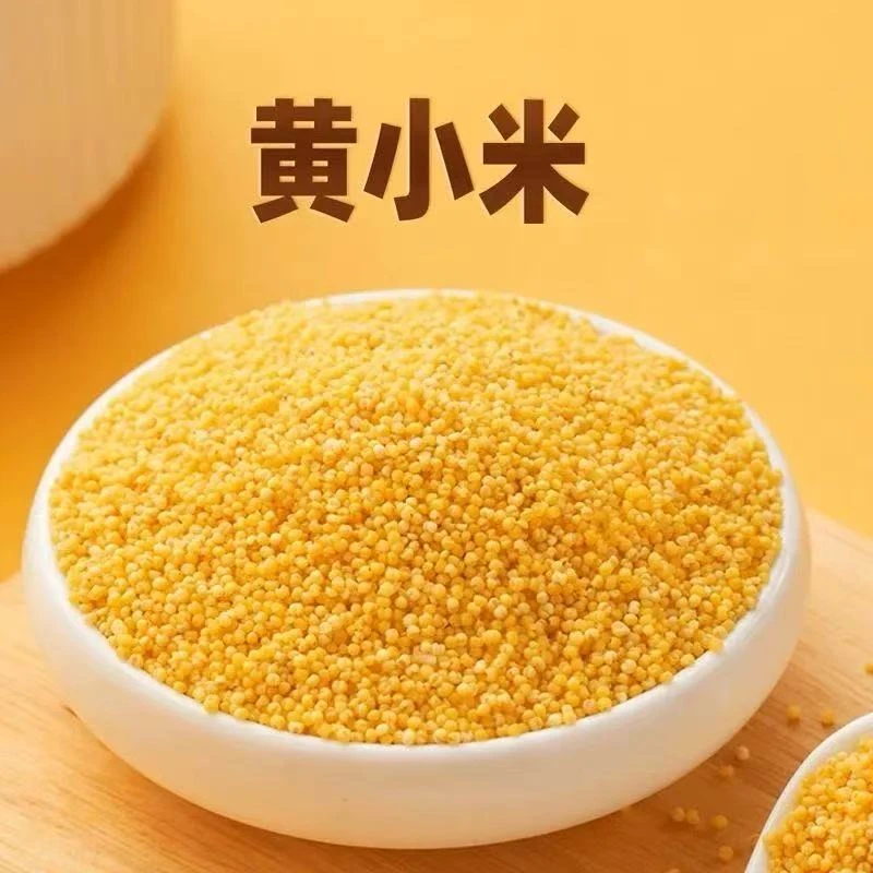 现磨新米富硒黄小米熬粥米油多五谷杂粮早餐佳品