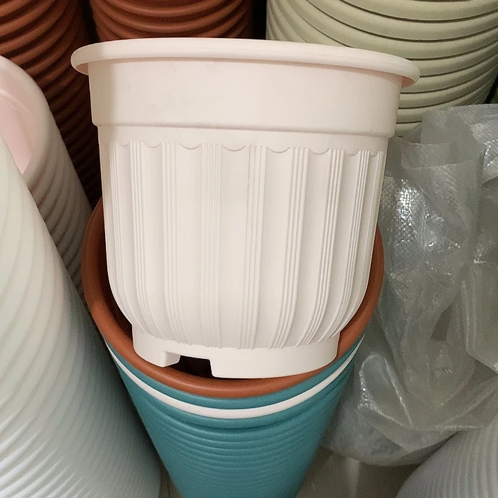 罗马口21高18粉4个无托