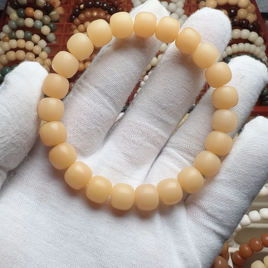 菩提根/象牙果手串?****~卡9 手工干磨菩提根S29