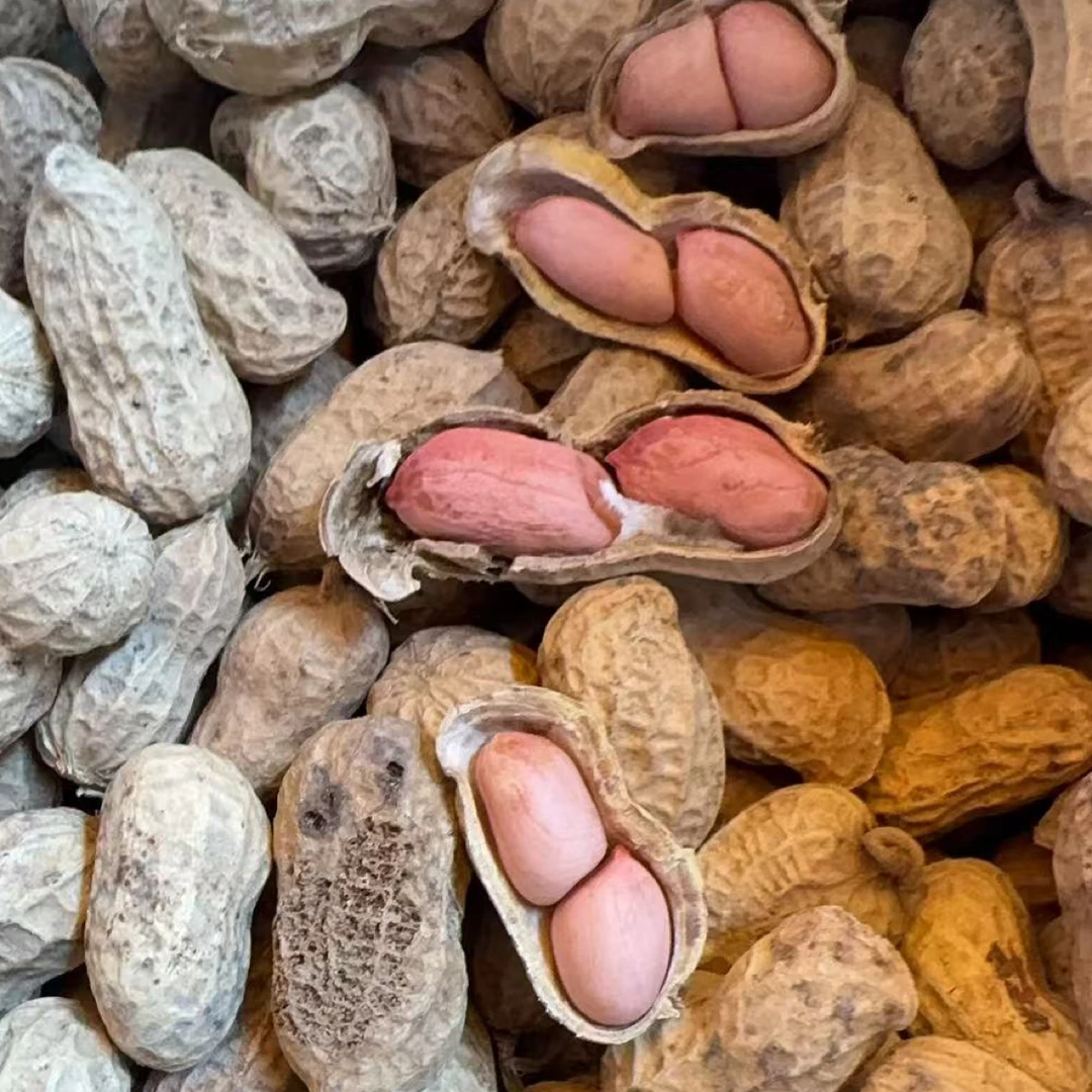 农家白晒原味生花生5斤包邮盐干白玉咸干咸味熟花生