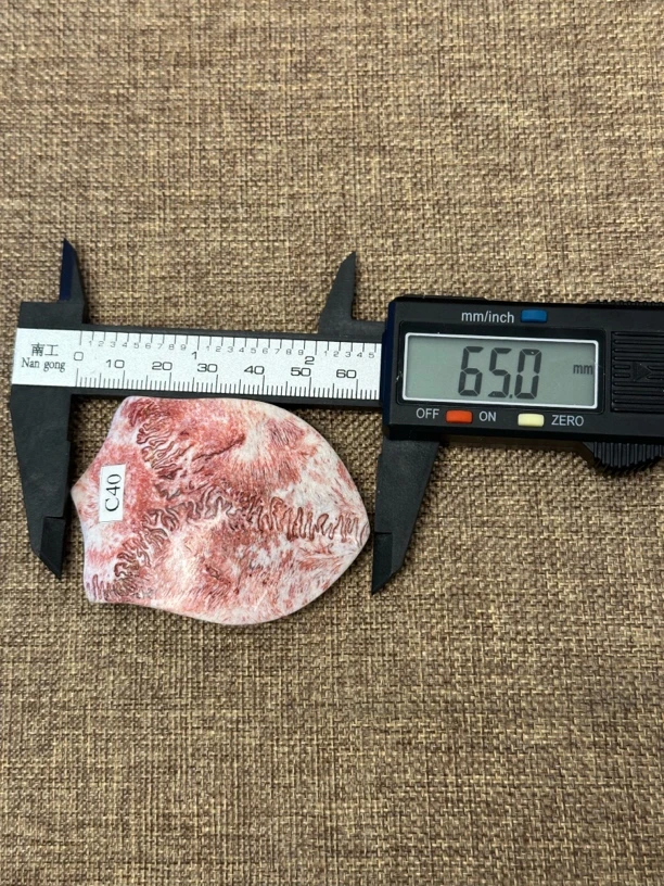 三界牌 c40文玩 公鹿鹿骨 高密高料 吊坠 手把件 雕刻 文玩人必备
