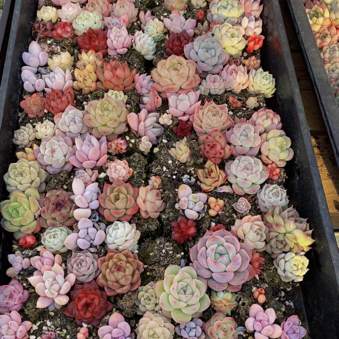 063的人和事都是