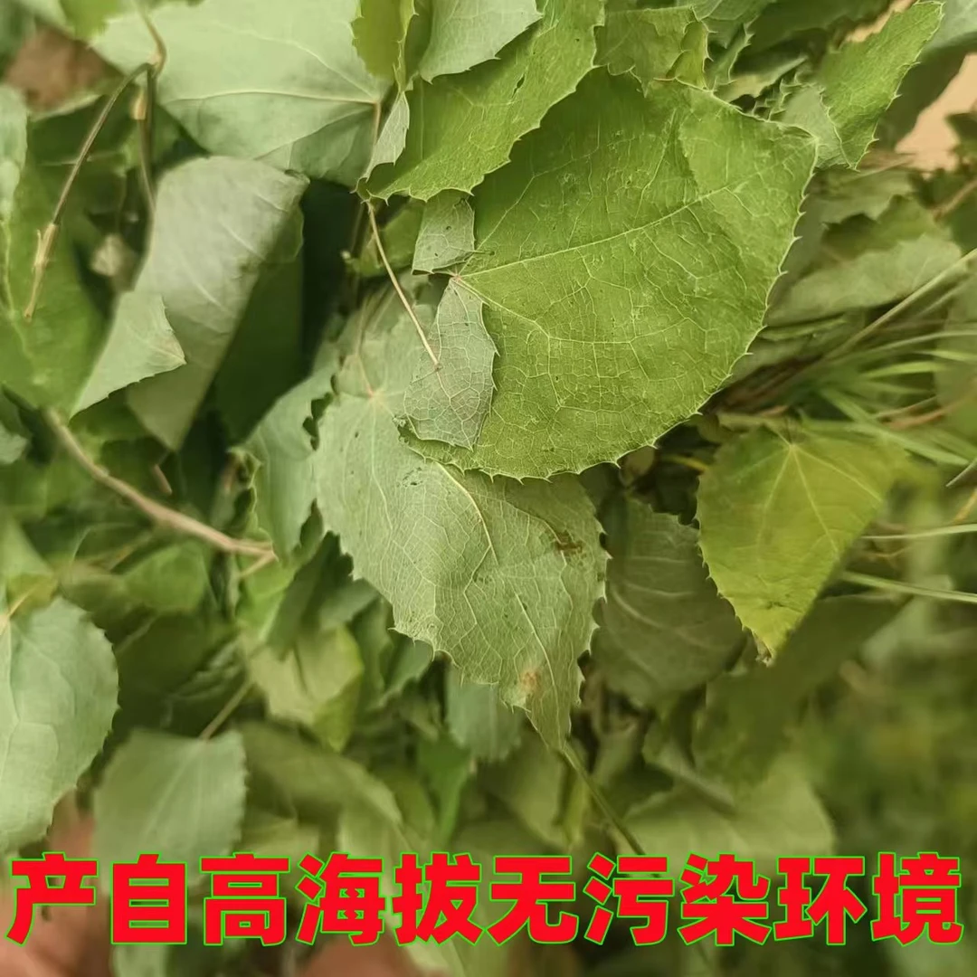 甘肃小圆叶深山高海拔采摘自然晾晒九叶草高含量羊爱草三枝九叶草