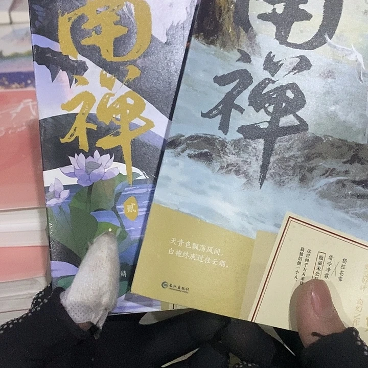 南禅 青春畅销文学