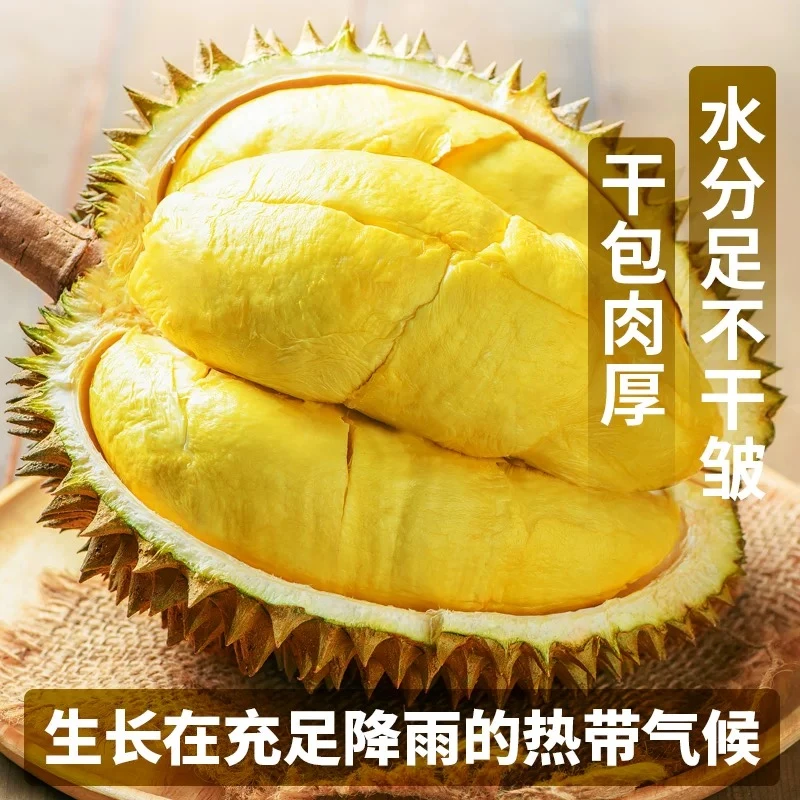 【泰国金枕】金枕榴莲树熟新鲜软糯香甜带壳一整个