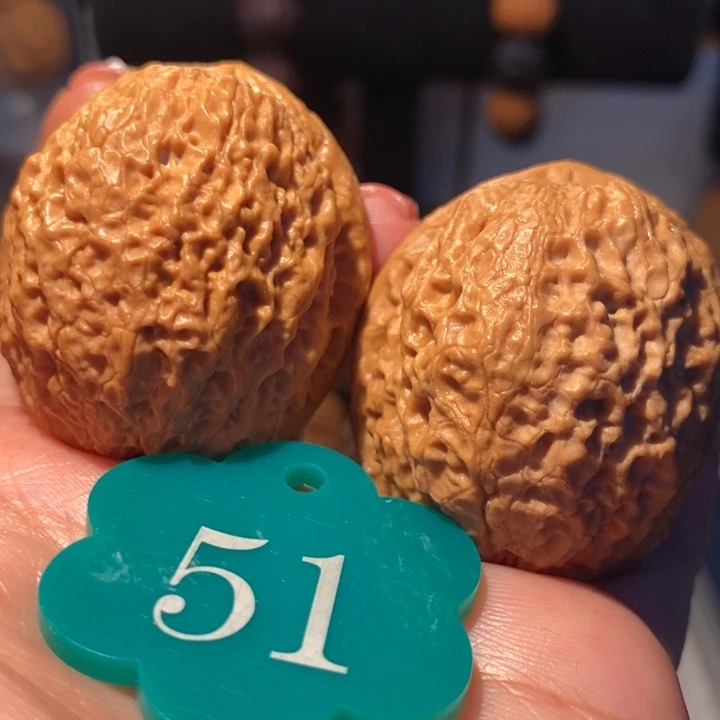 8号链接龙鳞铁狮子41尺寸