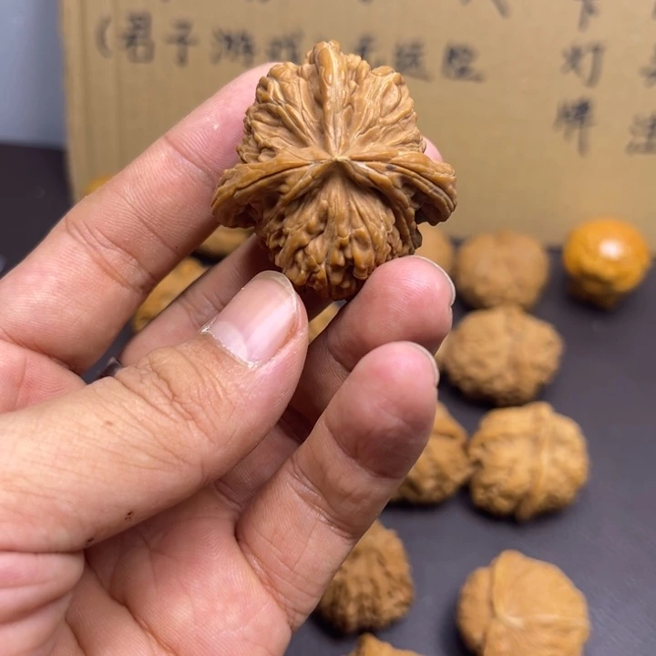 司***Y菩提籽类四座楼丁 黄尖