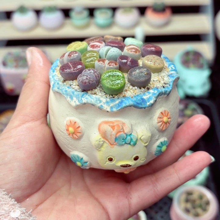 484 零下地区记得拍保温箱