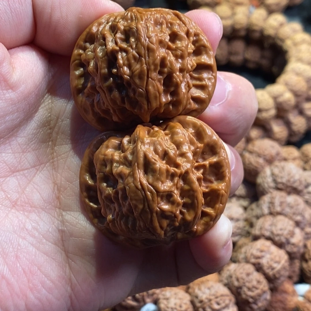 手串金刚菩提粗筋