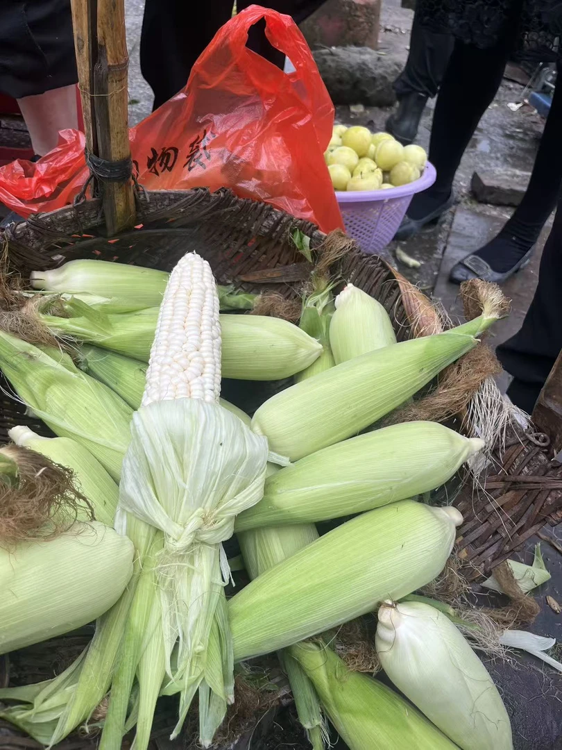 农家自种白糯玉米新鲜采摘当季嫩包谷带壳甜玉米爆浆