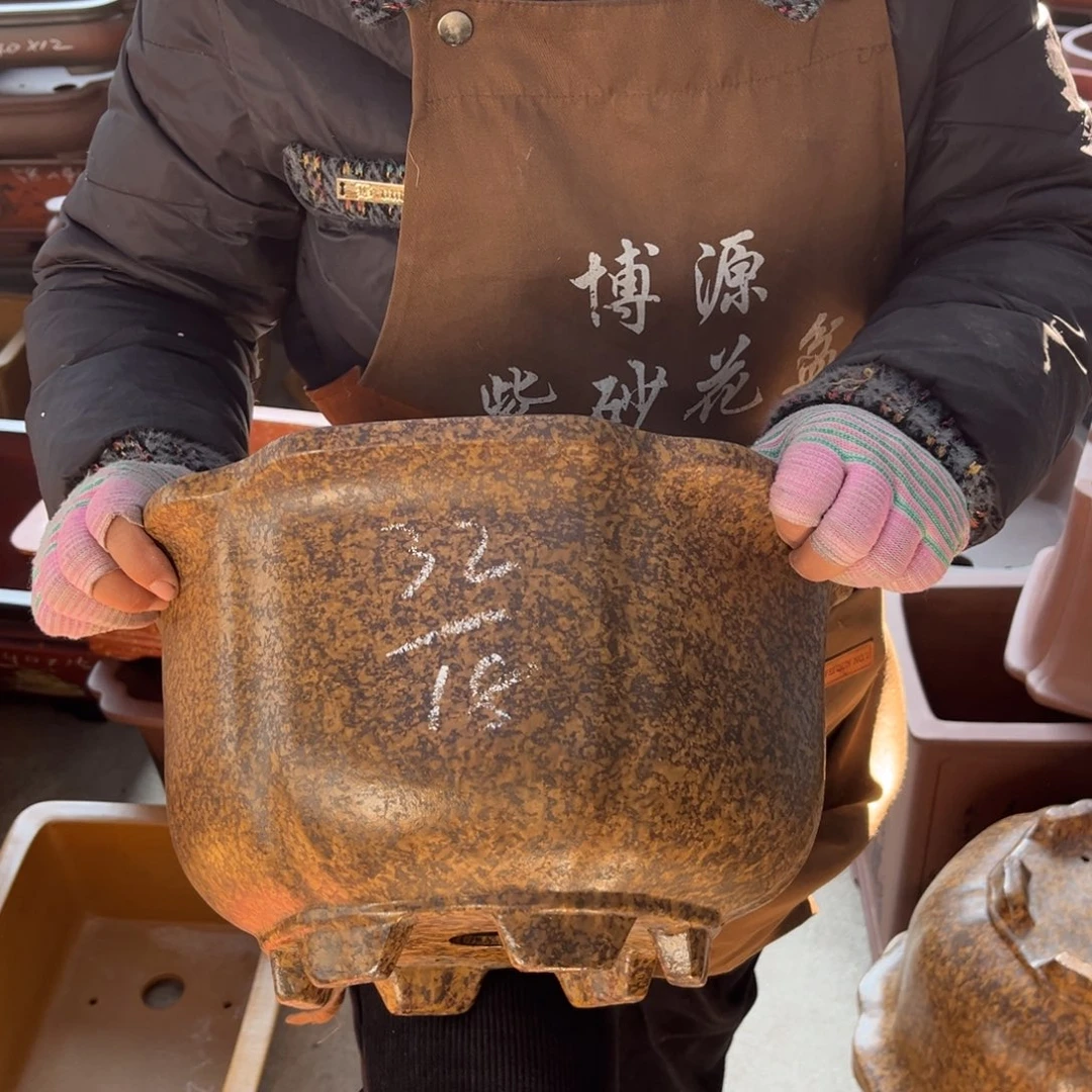 花盆紫砂盆景艺术