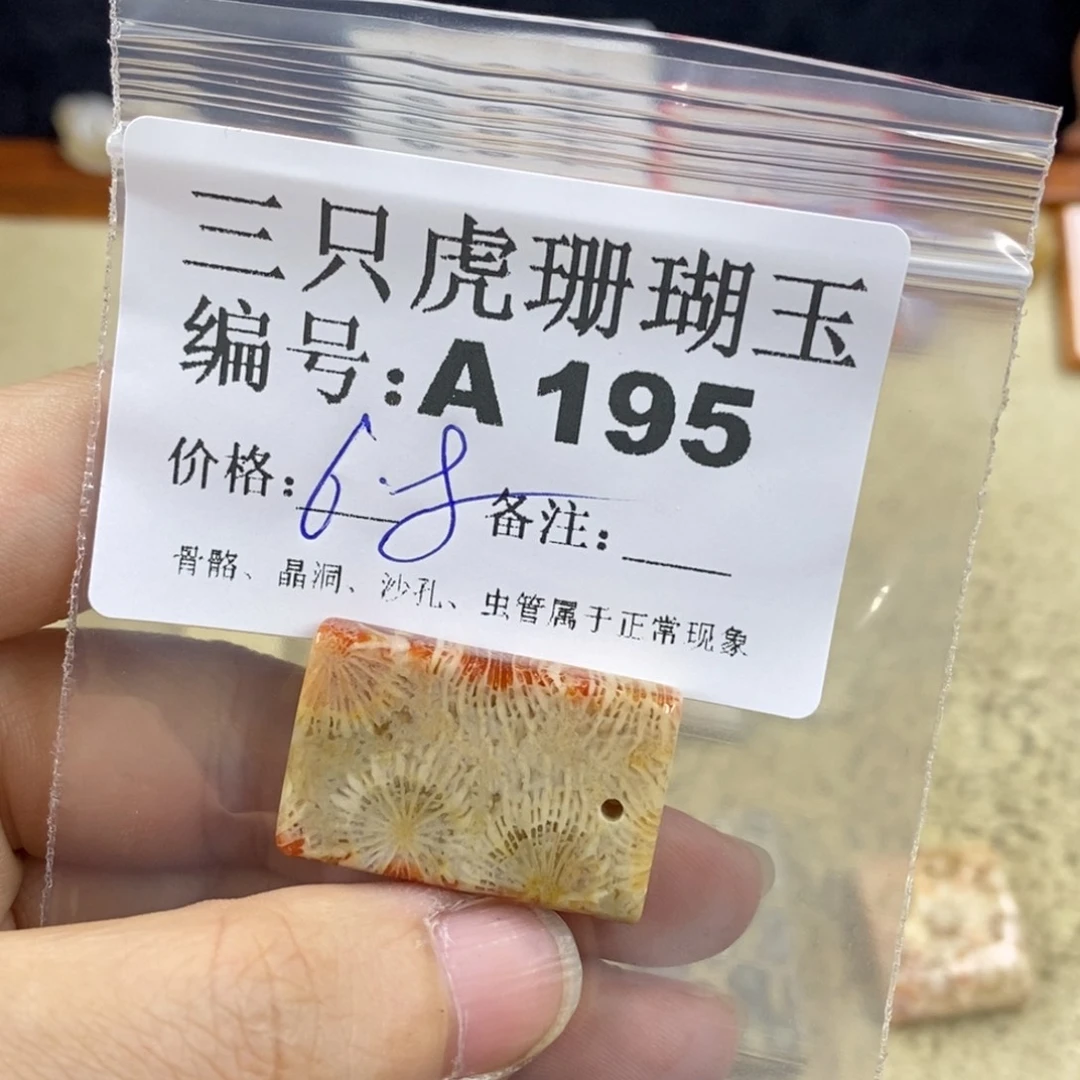硅化珊瑚（珊瑚玉）1未镶嵌芯*