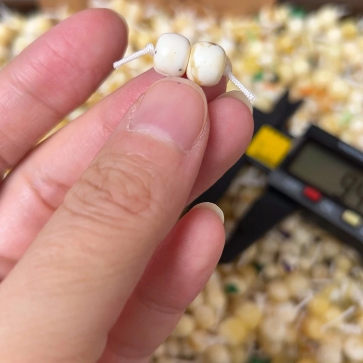 蜜蜡未镶嵌裸石7.9mm一对