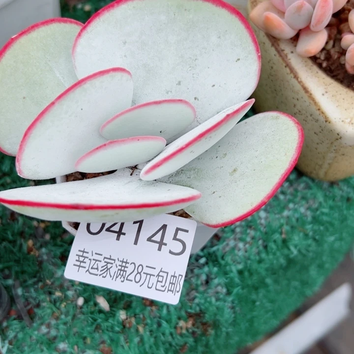 幸运的是我还没遇到