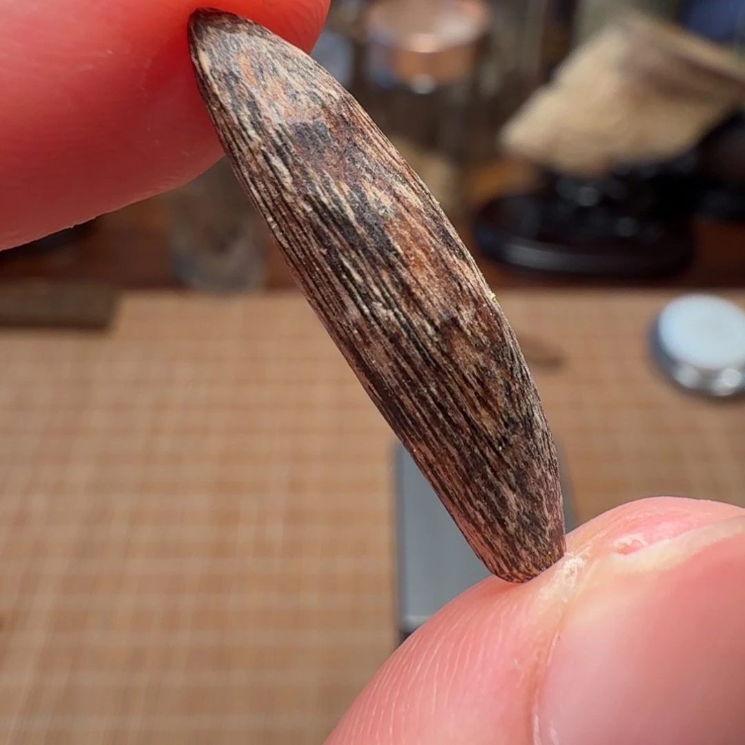 沉香香港西贡棋韵瓜子