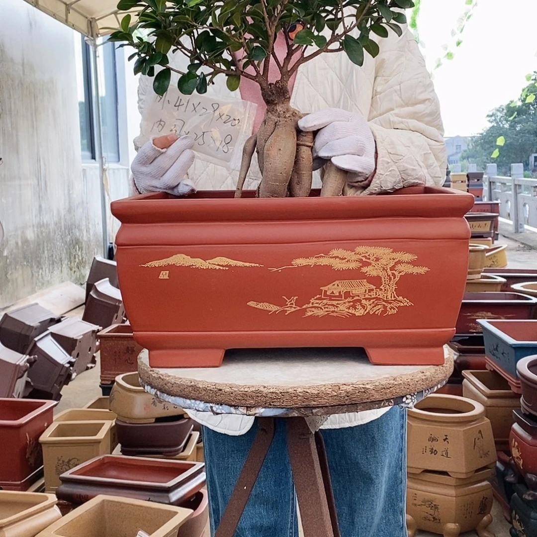 紫砂花盆紫砂花盆