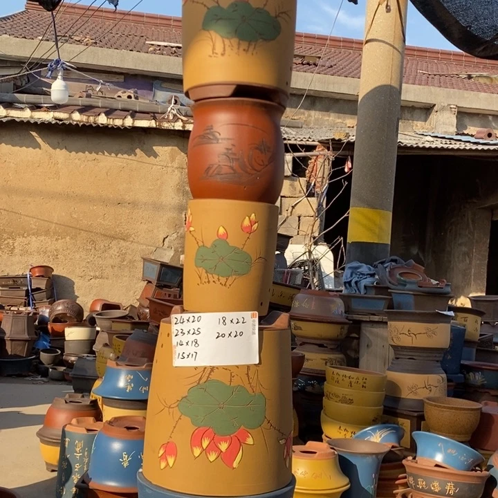 红陶这样我也可以去看看