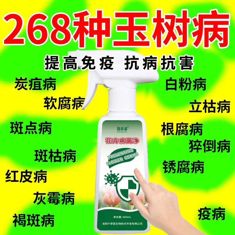 玉树病害专用喷剂】玉树霉斑多菌灵玉树黄锈斑叶片软腐烂根营养液