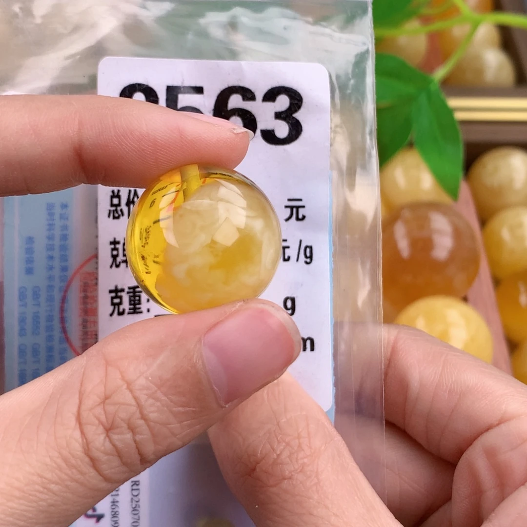 琥珀未镶嵌珠宝奇石21.4 植物