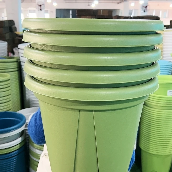 清仓青山口40高34果绿色5个带托