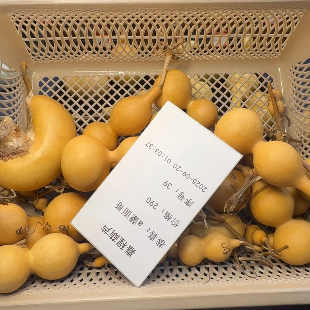 a***哥天然葫芦放心玩哥