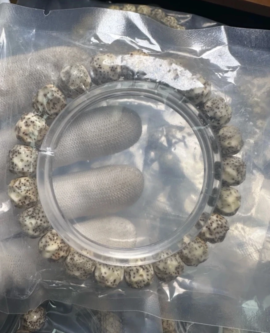 星月无相手串 （颜色形状多样，发其一，介意勿拍） A1613