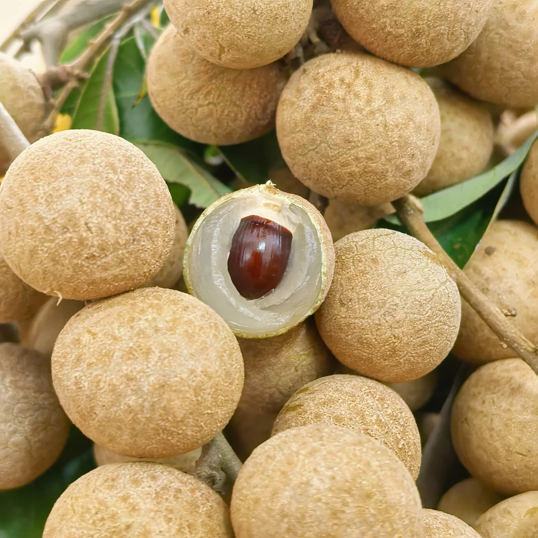 石峡多年老树石硖现摘批发直播非储良干特大龙眼石硖网红新鲜水果