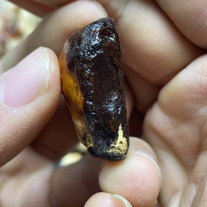 定制琥珀未镶嵌@***川