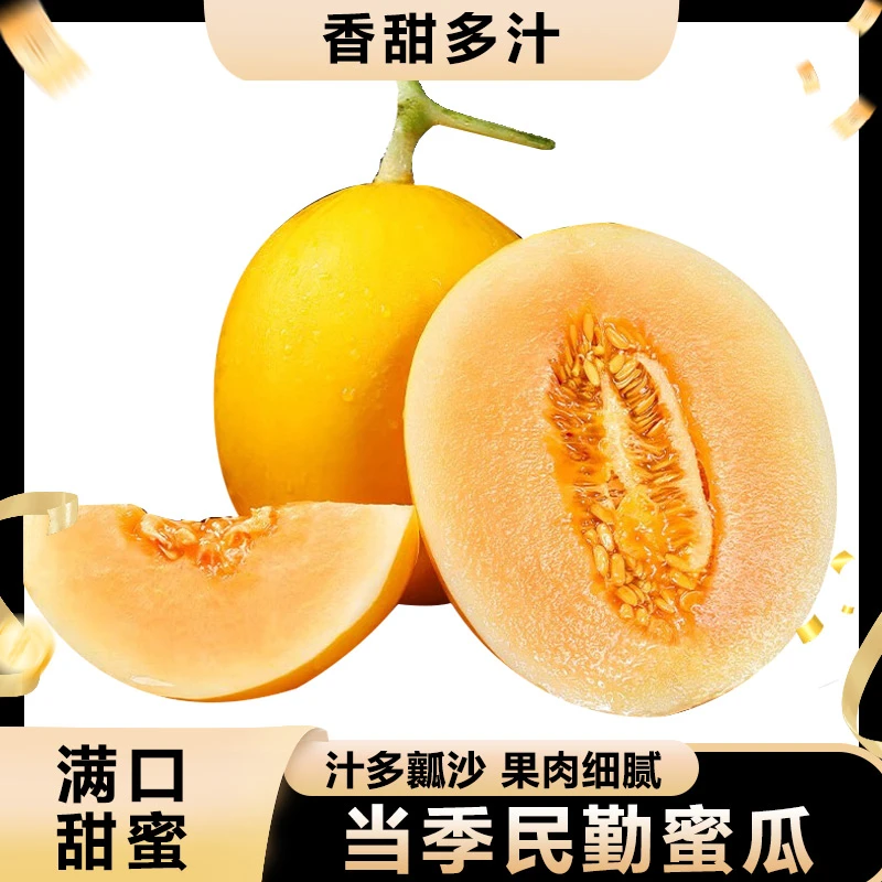 甘肃民勤 蜜瓜3-9斤1-3个装 现摘现发 新鲜采摘