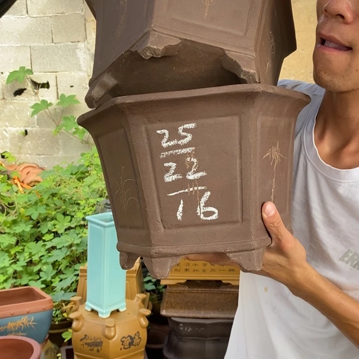 紫砂花盆没有什么不可以的事情