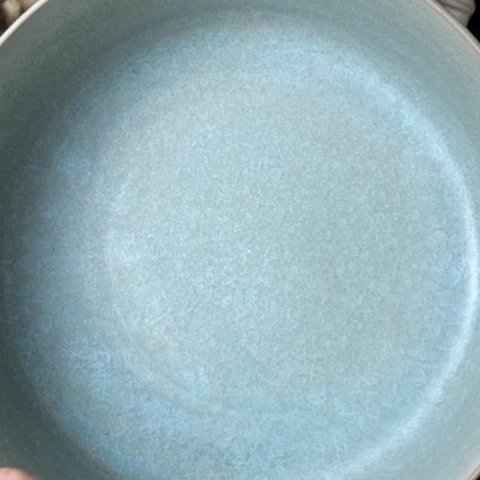 炉堂**正宝丰清凉寺汝窑残器