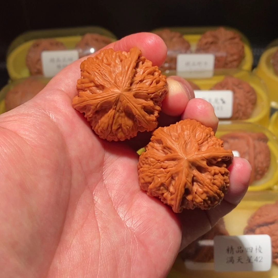39御龙粗筋正球奔精品对有修