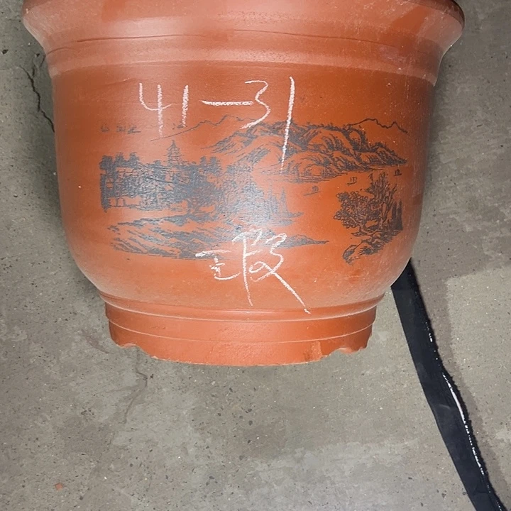 周三周四自始至终自作自受