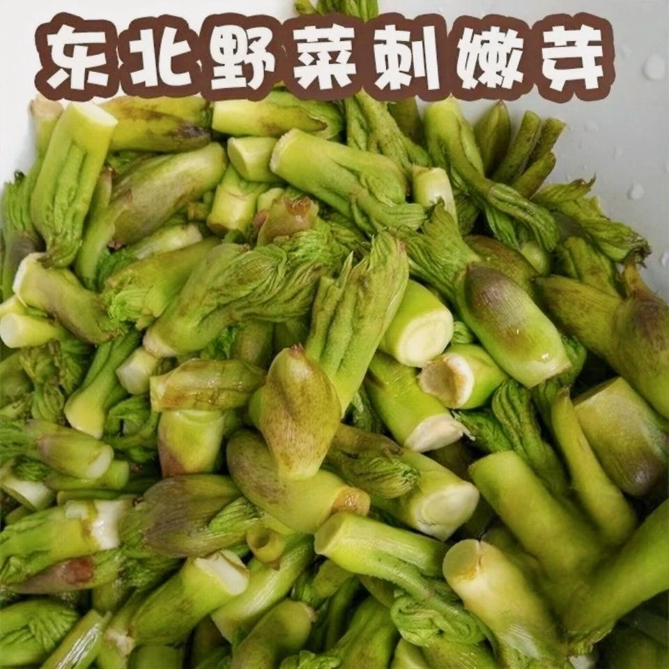 东北野生山野菜刺嫩龙芽保鲜袋装刺嫩芽带水500g*1袋（腌制菜）