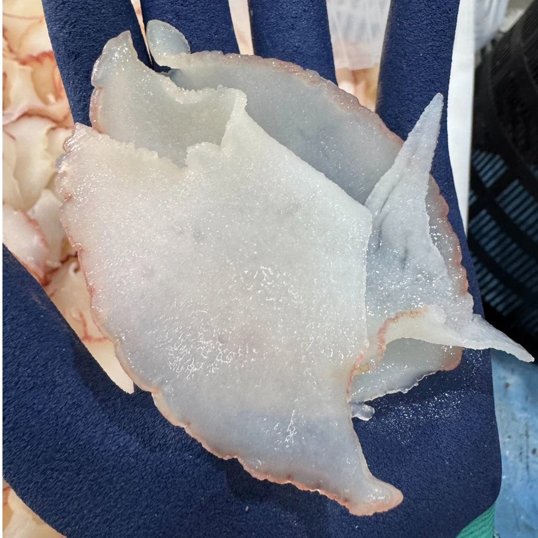 【鲜冻黄金螺片】上街弟推荐肉质鲜甜 福州发货