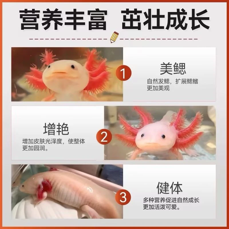 六角恐龙专用鱼粮【增色】【增鱼鳃】首选专用粮！养殖基地也在用！！！！！