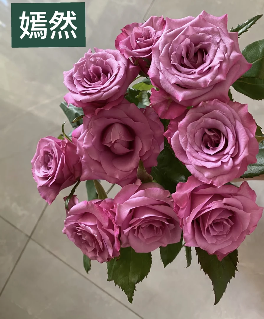 嫣然玫瑰20支（其中5支玫瑰）+营养剂